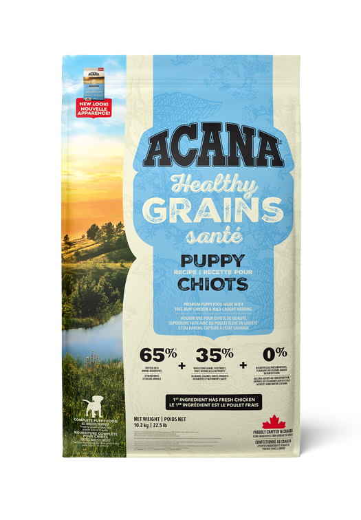 Healthy Grains, Puppy Recipe
